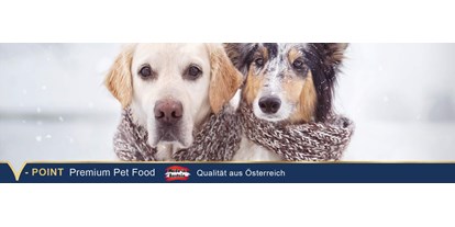 Händler - Steiermark - ATEMWEGE beim Hund – Schnupfen, Husten & Co.

Atemwegserkrankungen äußern sich durch Husten und/oder Leistungsschwäche. Besonders anfällig sind Hunde mit geschwächtem Immunsystem. – Hier findest du wirksame Hilfe aus der Natur! - V-POINT premium pet food GmbH