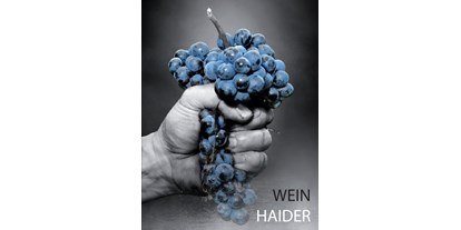 Händler - PLZ 7161 (Österreich) - Eines unserer Logos. Wird bei unserem Dark Treasure verwendet. - Wein Haider