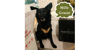 Händler - PLZ 2352 (Österreich) - Unser Barhund Dolce freut sich über Eure Bestellungen! - Civediamo Bar