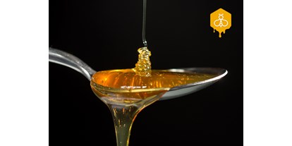Händler - Wertschöpfung in Österreich: vollständige Eigenproduktion - Niederösterreich - Auf einem Löffel Honig steckt das Lebenswerk mehrerer hundert Bienen - und der Geschmack einer ganzen Landschaft - Bio-Imkerei am Gerichtsberg