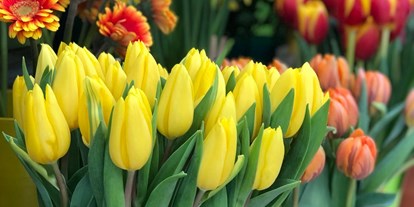 Händler - Gutscheinkauf möglich - Vöcklabruck - Blumen Putz