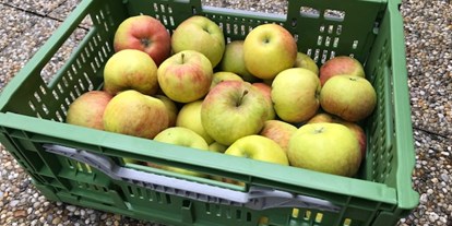 Händler - Produkt-Kategorie: Lebensmittel und Getränke - Koppl (Koppl) - 5kg Bio-Topaz Äpfel aus Oberrösterreich - fairApples 