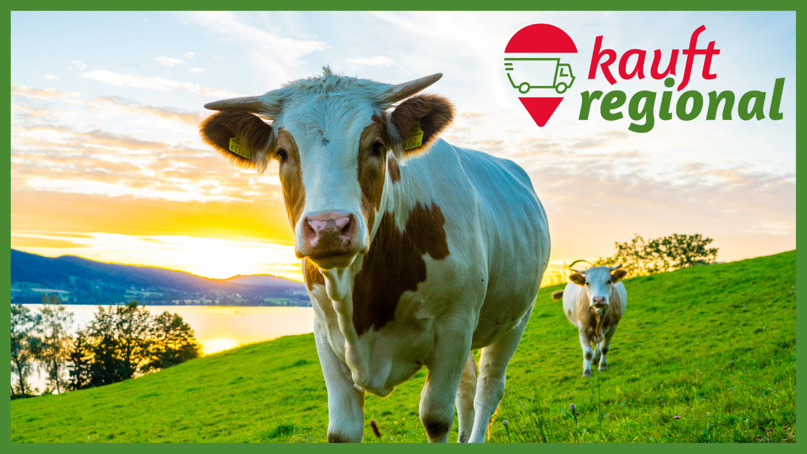 Unabhängige Landwirtschaft: Hofladen, Onlineshop und mehr - kauftregional.at