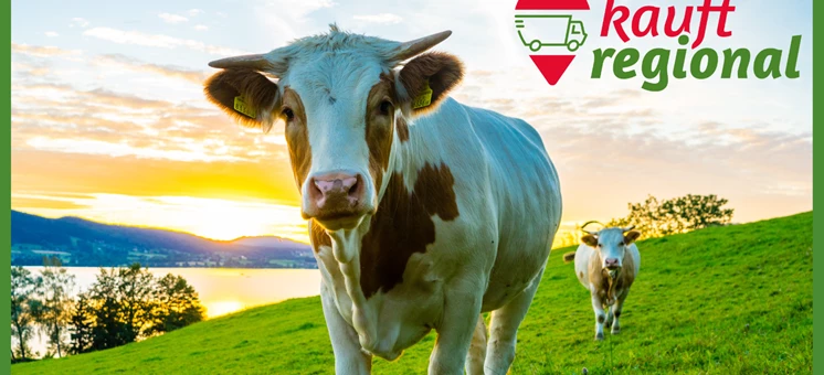 Unabhängige Landwirtschaft: Hofladen, Onlineshop und mehr - kauftregional.at