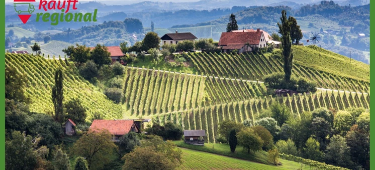 Wachau, Leithaberg und Südsteiermark: Das Weinland Österreich - kauftregional.at