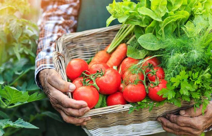 Regionale Händler und Produzenten finden