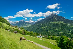 Regionalität in Vorarlberg