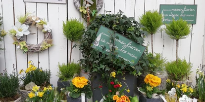 Händler - Produkt-Kategorie: Pflanzen und Blumen - Stockach (Perwang am Grabensee) - Frühling bei uns - Gärtnerei Monger
