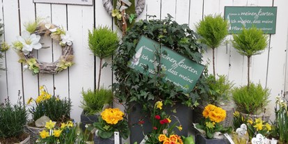 Händler - Zahlungsmöglichkeiten: auf Rechnung - Eching (Sankt Georgen bei Salzburg) - Frühling bei uns - Gärtnerei Monger