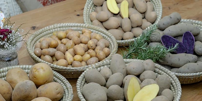 Händler - überwiegend selbstgemachte Produkte - Sonnental (Velden am Wörther See) - Artenreiche Kartoffelvielfalt vom Kartoffelbauernhof Mischkulnig - schieflinger.kistale