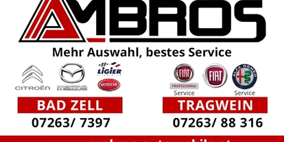 Händler - bevorzugter Kontakt: per Telefon - Mitterkirchen - Ambros Automobile GmbH