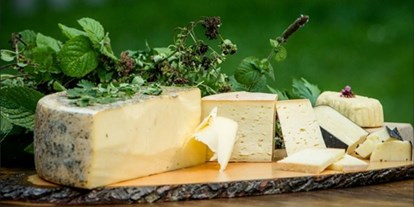 Händler - Zahlungsmöglichkeiten: Bar - Steiermark - bester Rohmilchkäse von unseren Bauern mit Milch von heimischen Kühen, Ziegen oder Schafen - Heimatgold Schladming
