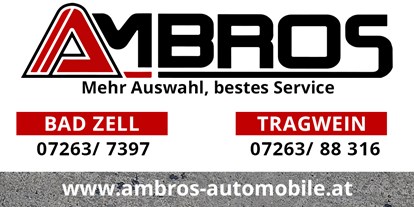 Händler - Zahlungsmöglichkeiten: auf Rechnung - Zeitling - Ambros Automobile GmbH