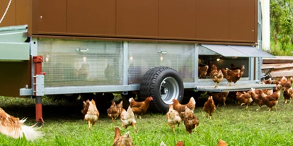 Händler - Unternehmens-Kategorie: Hofladen - Unterberg (Großarl, Dorfgastein) - Der mobile Hühnerstall mit 180 Legehennen - BERGerWIESEN