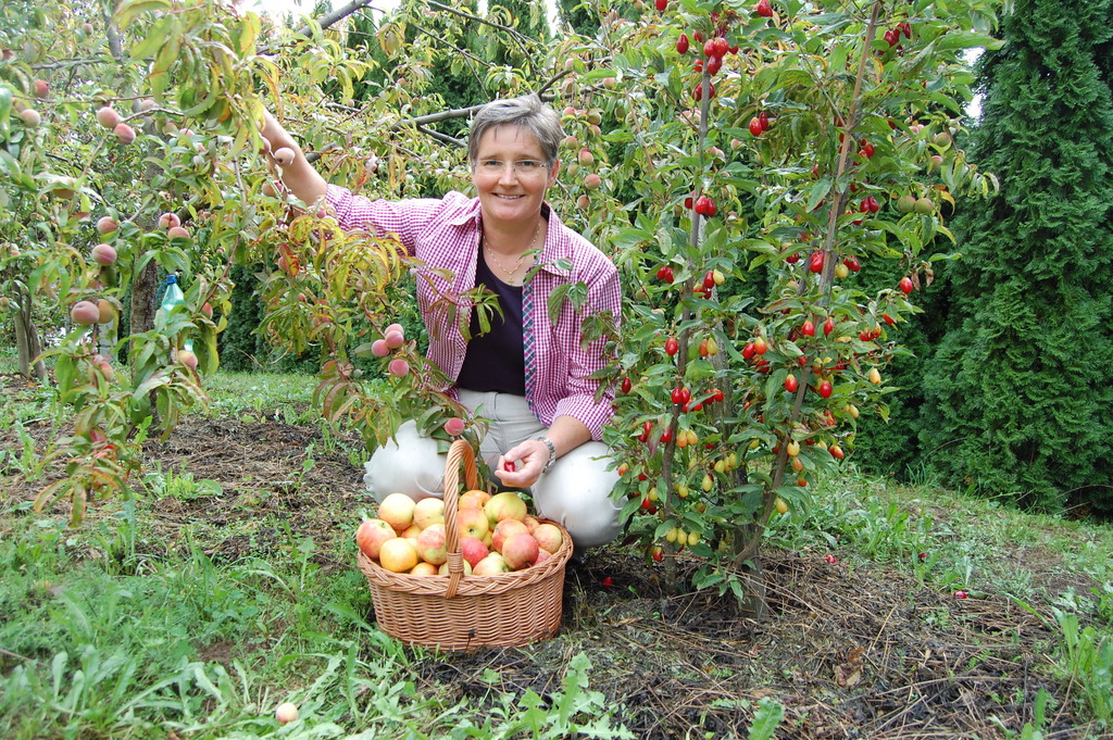 Unternehmen - Blasibauer