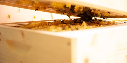 Händler - nachhaltige Verpackung - Sooß (Sooß) - Bio-Imkerei BienenFink