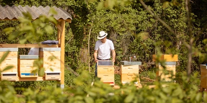 Händler - Wertschöpfung in Österreich: vollständige Eigenproduktion - Tattendorf - Bio-Imkerei BienenFink