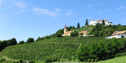 Händler - Pöllau (Paldau) - Schloss Kapfenstein und Weingut Winkler-Hermaden - Weingut Winkler-Hermaden