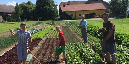 Händler - regionale Produkte aus: Gemüse - Kirchberg (Sankt Pantaleon) - Hofladen Joglbauer
