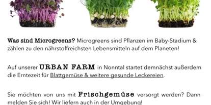 Händler - Art der erstellten Produkte: Lebensmittel - Brunn (Straßwalchen) - Urban Roots Salzburg