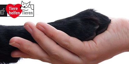 Händler - Mindestbestellwert für Lieferung - Dambach (Ilz) - Das Bild zeigt eine Hundepfote in einer Menschenhand gehalten. Daneben das Logo des Charity-Projekts von Fedor® Tieren helfen Tieren! - Fedor® Tiernahrung