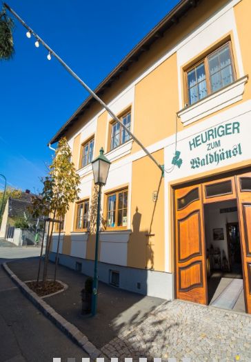 Unternehmen - Außenansicht - Weinbau Waldhäusl Sooß