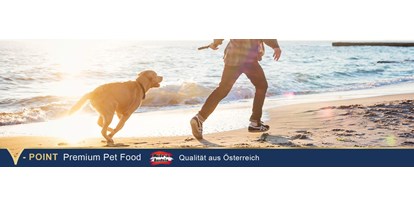Händler - PLZ 8411 (Österreich) - GELENKE beim Hund – Fördere die Bewegungsfreude!

Gelenkerkrankungen wie z.B. Arthrose sind bei Hunden eine weit verbreitete Krankheit. Mit entsprechender Behandlung, Bewegung und einer Anpassung der Fütterung kannst du deinen Liebling gut unterstützen
Hol dir wirksame Hilfe aus der Natur! - V-POINT premium pet food GmbH