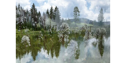 Händler - überwiegend selbstgemachte Produkte - Wien Floridsdorf - Pond-Landscape - Regina Cserna Photography - Kunstfotografie - Fineartprints