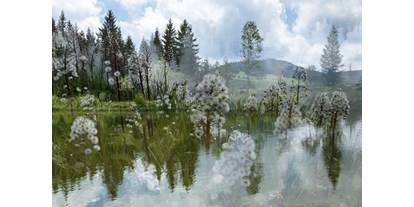 Händler - Art der Abholung: Übergabe mit Kontakt - Wien-Stadt Stammersdorf - Pond-Landscape - Regina Cserna Photography - Kunstfotografie - Fineartprints