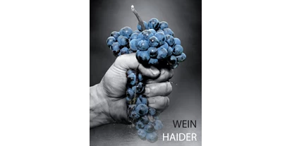 Händler - Unternehmens-Kategorie: Hofladen - Weiden am See - Eines unserer Logos. Wird bei unserem Dark Treasure verwendet. - Wein Haider