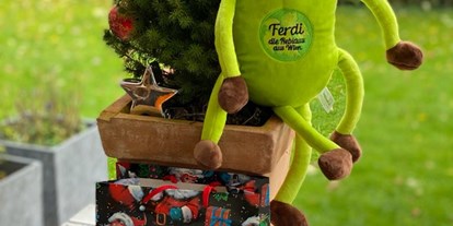 Händler - Produkt-Kategorie: Spielwaren - Wien Meidling - Für jedes Kind der größte Traum, ein Ferdi unterm Weihnachtsbaum
(Größe 30 cm) - kuscheliges Stofftier - MMG Reblaus Marketing GmbH