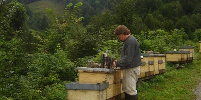 Händler - Produktion vollständig in Österreich - Bad Hall - Am Bienenstand Welchau Breitenau - Bio Imkerei Russmann wir Imkern in der Nationalpark Kalkalpen Region . 