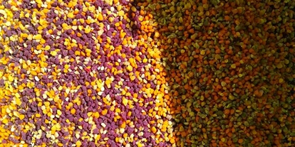 Händler - regionale Produkte aus: natürlichen Inhalten - Bad Hall - Pollen Farbenspiel - Bio Imkerei Russmann wir Imkern in der Nationalpark Kalkalpen Region . 