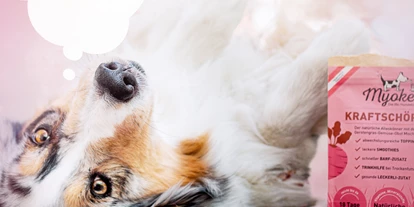 Händler - Fißlthal - Hund mit Kraftschöpfer Verpackung
 - MYOKEE - Die Bio Hundeküche