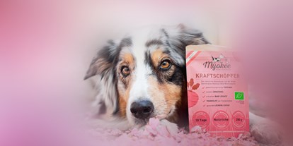 Händler - Art der erstellten Produkte: Tierbedarf - Hintersee (Hintersee) - Superfood, Gemüse und Obst für Hunde in Pulver Fertigmischungen - MYOKEE - Die Bio Hundeküche