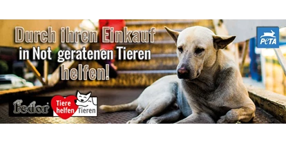 Händler - überwiegend Fairtrade Produkte - Hinteregg (Pöllau) - Das Bild zeigt einen obdachlosen armen Hund vor einer Stiege eines Einkaufszentrums. Geschrieben steht „Durch Ihren Einkauf in Not geratenen Tieren helfen!“ - Fedor® Tiernahrung