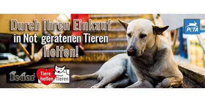 Händler - bevorzugter Kontakt: Online-Shop - PLZ 8234 (Österreich) - Das Bild zeigt einen obdachlosen armen Hund vor einer Stiege eines Einkaufszentrums. Geschrieben steht „Durch Ihren Einkauf in Not geratenen Tieren helfen!“ - Fedor® Tiernahrung