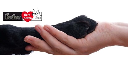Händler - bevorzugter Kontakt: per WhatsApp - PLZ 8294 (Österreich) - Das Bild zeigt eine Hundepfote in einer Menschenhand gehalten. Daneben das Logo des Charity-Projekts von Fedor® Tieren helfen Tieren! - Fedor® Tiernahrung