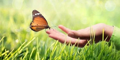 Händler - digitale Lieferung: Beratung via Video-Telefonie - Kledering - Schmetterling sitzt auf einer Hand - Clemens Pistauer Energetiker