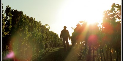 Händler - Produkt-Kategorie: Agrargüter - Seeham - Weinbau Stark