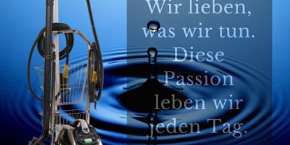 Händler - Unternehmens-Kategorie: Versandhandel - Roithen (Wels, Scharten) - Cleanworld Mario Weiermayer