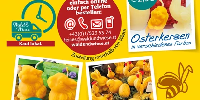 Händler - Produkt-Kategorie: Lebensmittel und Getränke - Sittendorf (Wienerwald) - IBZ Bienen- u- Naturprodukte GesmbH