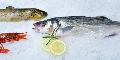 Händler - Produkt-Kategorie: Lebensmittel und Getränke - Kledering - Frischer Fisch, Meeresfrüchte, Tartar und diverse Salate. - Julius Meinl am Graben