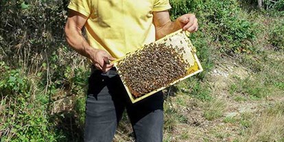 Händler - Lebensmittel und Getränke: Honig - Bio Waldhonig 250g von Bio-Imkerei Kordesch
