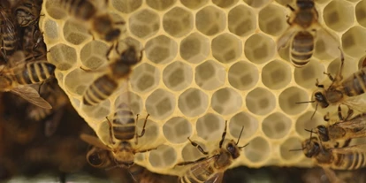 Händler - Haus und Garten: Haushaltswaren - Österreich - Bio Bienenwachs Drops 200g von Wiener Bezirksimkerei