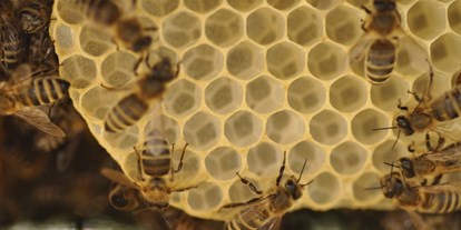 Händler - Haus und Garten: Haushaltswaren - Tiroler Unterland - Bio Bienenwachs Drops 200g von Wiener Bezirksimkerei