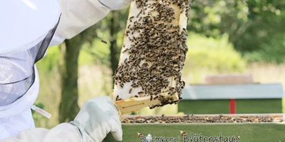 Händler - Lebensmittel und Getränke: Honig - Asching (Ebbs) - Bio Honig trifft Walnuss 130g von Bio-Imkerei Blütenstaub