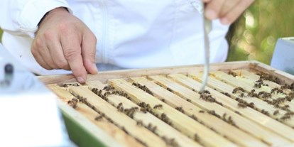 Händler - PLZ 6462 (Österreich) - Ostergeschenkkarton Honig für kleinen Schleckermäulchen von Bio-Imkerei Blütenstaub