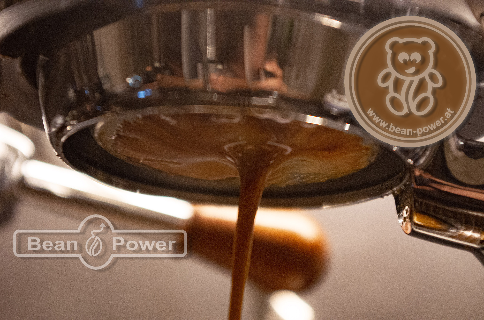 Unternehmen - Bean Power Coffee & More aus Graz!
www.bean-power.at

Bean Bear Espresso im Bottomless Siebträger - Bean Power - Coffee and more