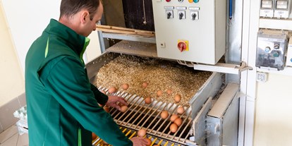 Händler - überwiegend Bio Produkte - PLZ 8042 (Österreich) - Robert Schrenk beim abnehmen der Freilandeier - Moarhofhechtl Fa. Schrenk, Teigwaren-Freilandeier-Hofladen